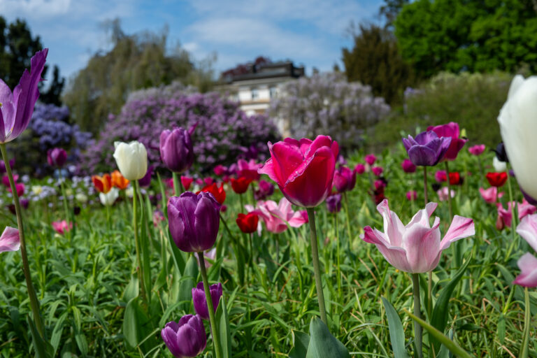 GardenESP — Gartenbewässerung in Home Assistant